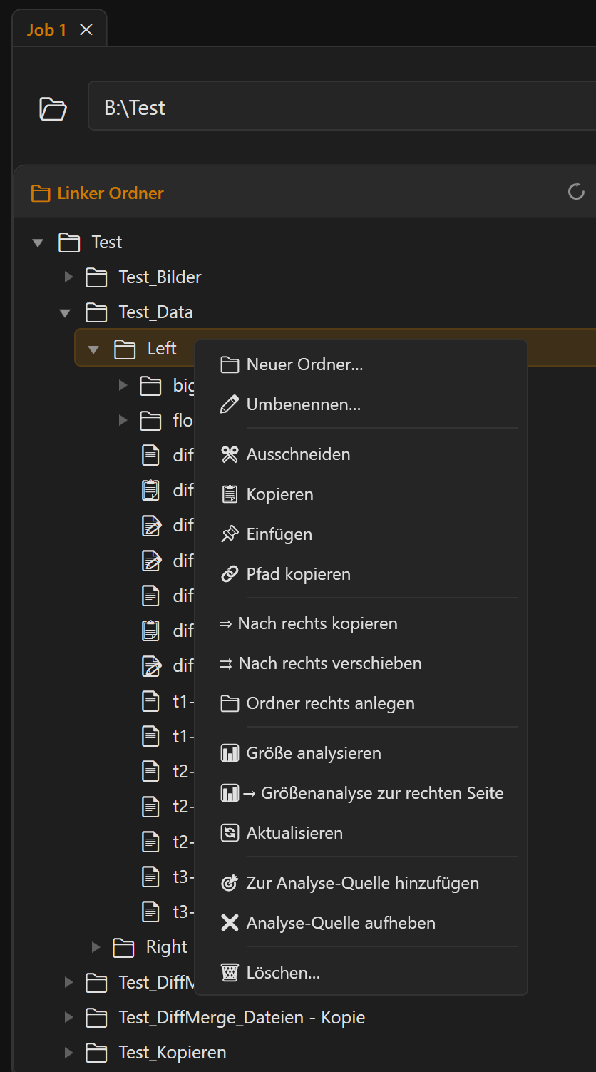 Screenshot 30: Kontextmenü im Dateibaum mit allen Einträgen (Neuer Ordner, Umbenennen, Kopieren, …)