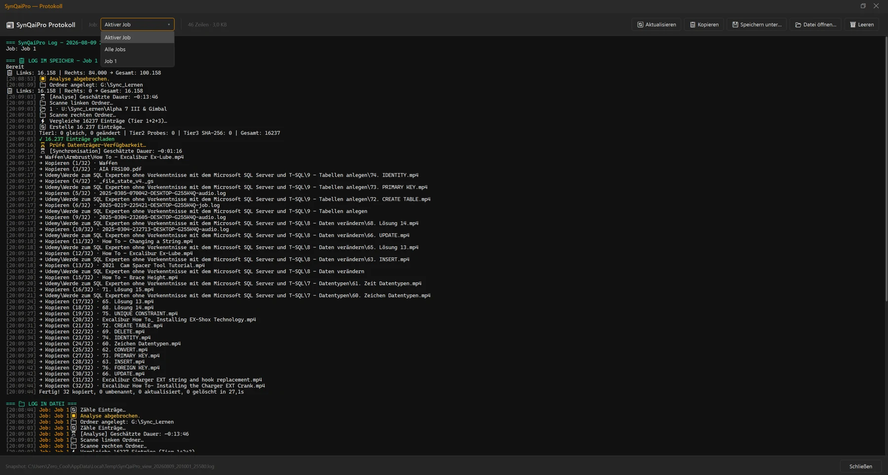 Screenshot 66: Protokoll-Fenster „SynQaiPro — Protokoll“ mit den Abschnitten „📋 LOG IM SPEICHER“ und „📁 LOG IN DATEI“ sowie der Werkzeugleiste (Job-Filter, Aktualisieren, Kopieren, Speichern, Leeren)