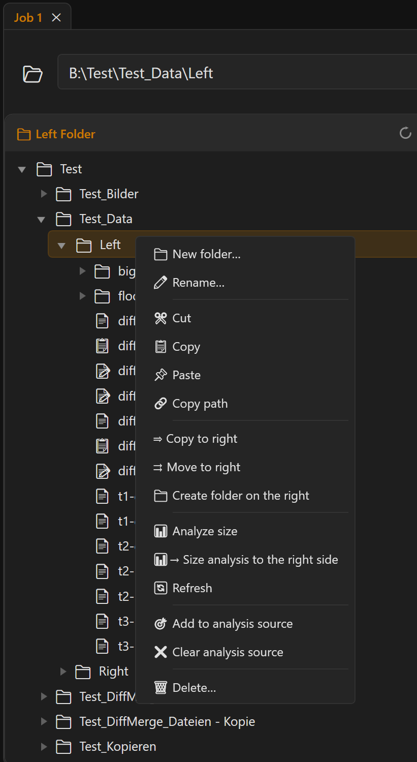 Screenshot 30: Context menu in the file tree with all its entries (New folder, Rename, Copy, …)